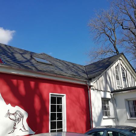 Kleines Studio Im Eichenwaeldchen, 1 Zimmer Kueche Bad Friedrichsgrun Luaran gambar