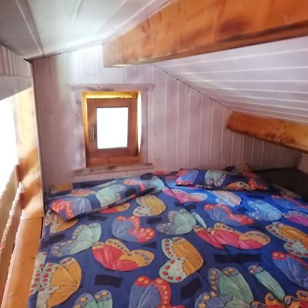 Kleines Studio Im Eichenwaeldchen, 1 Zimmer Kueche Bad Friedrichsgrun Luaran gambar