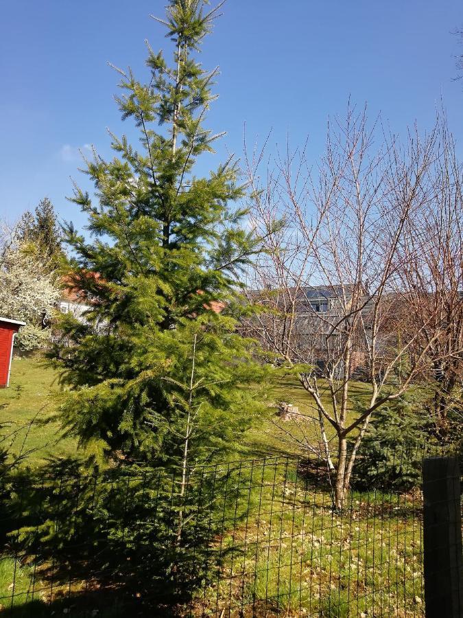 Kleines Studio Im Eichenwaeldchen, 1 Zimmer Kueche Bad Friedrichsgrun Luaran gambar