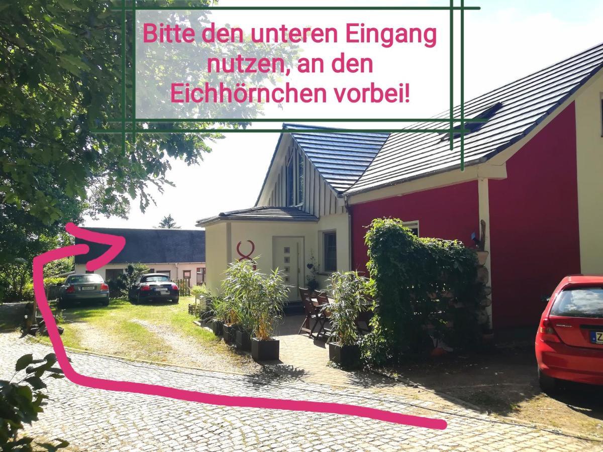 Kleines Studio Im Eichenwaeldchen, 1 Zimmer Kueche Bad Friedrichsgrun Luaran gambar
