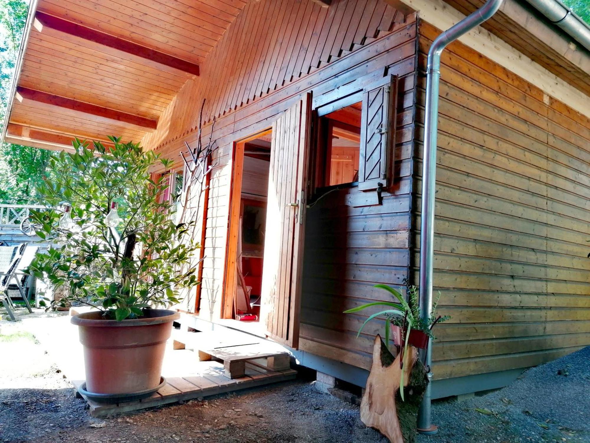 Kleines Studio Im Eichenwaeldchen, 1 Zimmer Kueche Bad Friedrichsgrun Luaran gambar